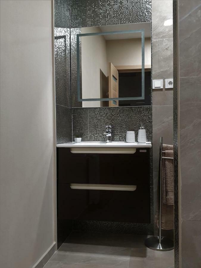 Irina Apartments Timisoara Exterior photo